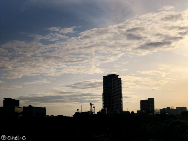 a0154706_2275883.jpg