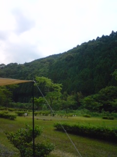 b0085408_15983.jpg