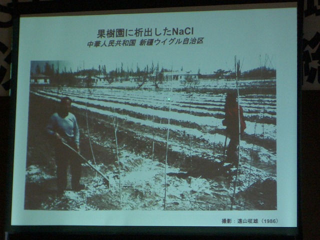富士市STOP温暖化地域協議会と「遺伝子組換え」_f0141310_2305955.jpg