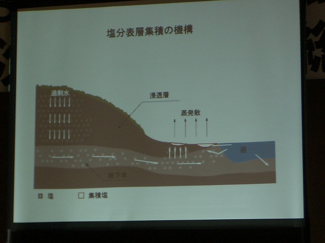 富士市STOP温暖化地域協議会と「遺伝子組換え」_f0141310_2311115.jpg