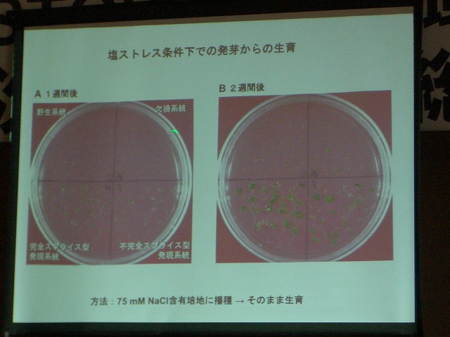 富士市STOP温暖化地域協議会と「遺伝子組換え」_f0141310_2315549.jpg