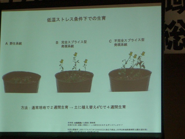 富士市STOP温暖化地域協議会と「遺伝子組換え」_f0141310_232594.jpg