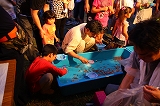 b0163114_17401898.jpg