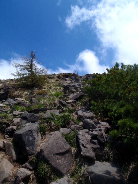 八ヶ岳-編笠山・権現岳登山1_c0177814_1643699.jpg