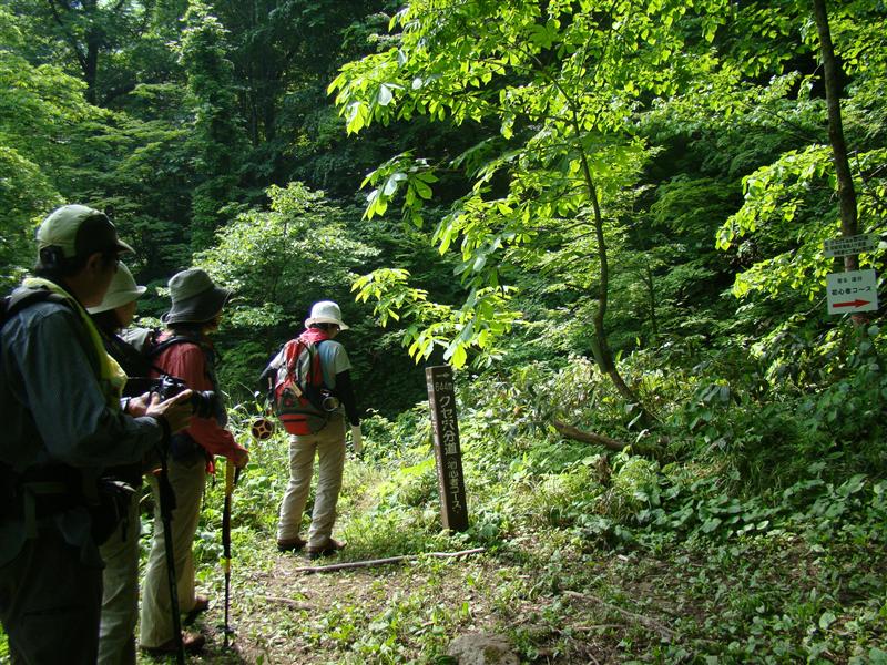 麻耶山に憧れて…_a0127015_2284843.jpg