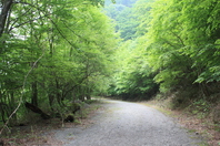 高塚山から犬山段へ_b0093515_7262949.jpg