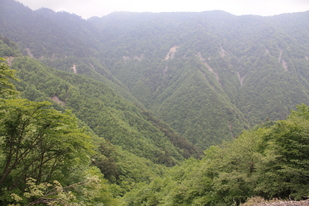 高塚山から犬山段へ_b0093515_7302218.jpg