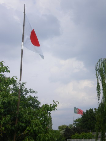 c0124619_3505312.jpg