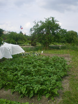 c0124619_455839.jpg