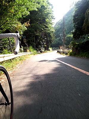 c0176622_12292936.jpg