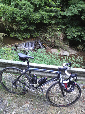c0176622_12293721.jpg