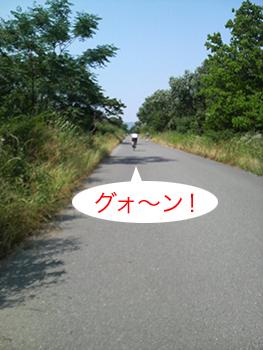 c0176622_1229950.jpg