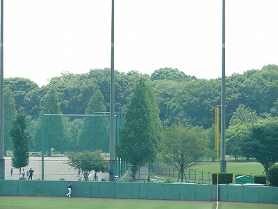 6月12日 イースタン ロッテ対ヤクルト_b0166128_8304936.jpg