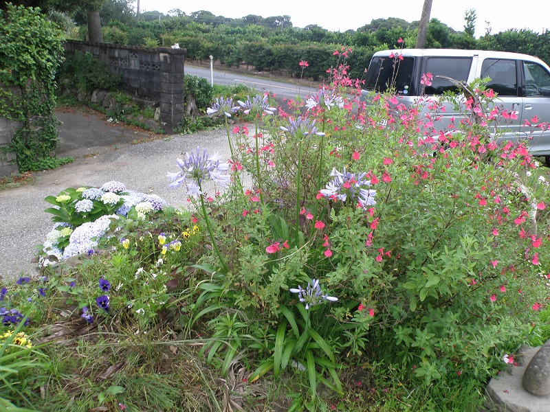 d0007830_9163887.jpg