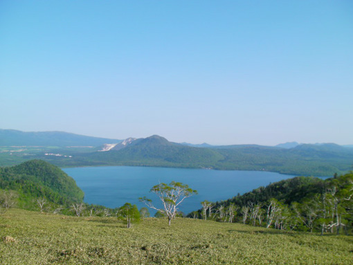 d0111435_20502557.jpg