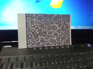 f0182838_0271883.jpg