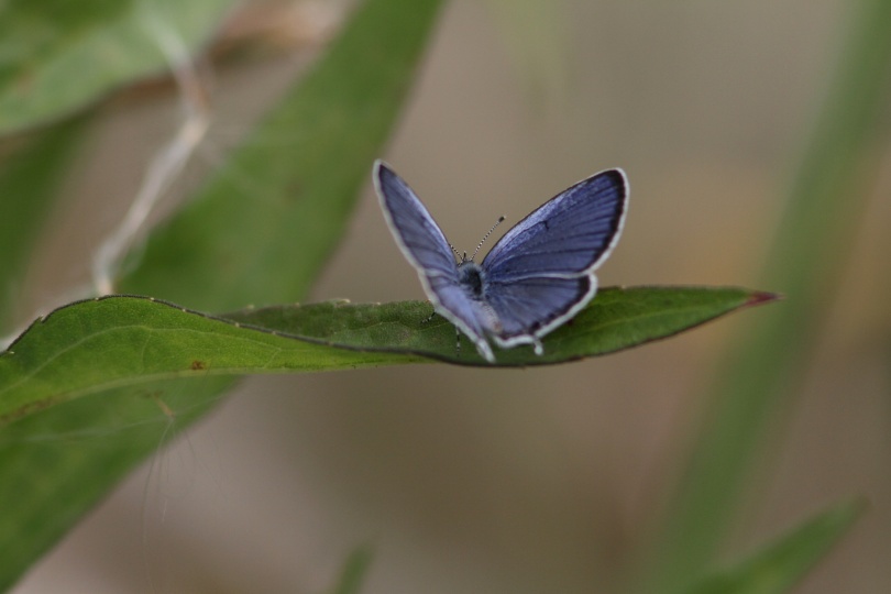 c0172139_93941.jpg