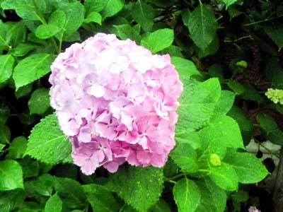 b0019140_12583310.jpg