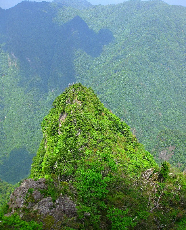 東大台ケ原自然観察路２_b0133440_129550.jpg