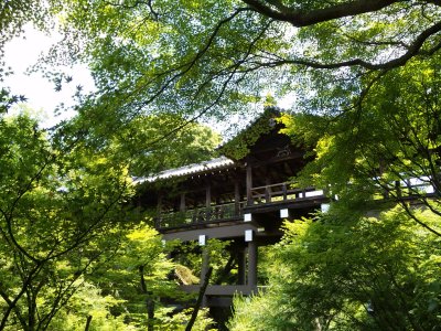 東福寺_d0142944_22243215.jpg