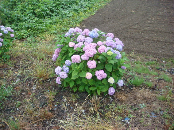 b0097645_23252774.jpg