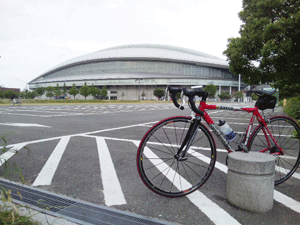 f0229250_22222015.gif