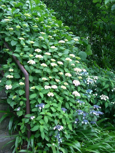 f0234751_1151235.jpg