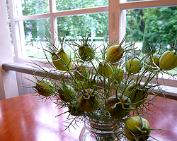 d0050155_22523744.jpg