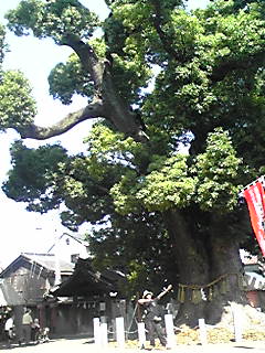 f0221955_16261.jpg