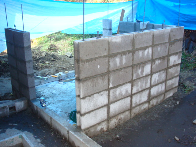 c0074157_23181037.jpg