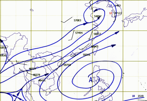 今日も、草取り ；　「バード・サンクチュアリ（２）」 ；　「プッキー」たちの宿題_c0105557_21443750.gif