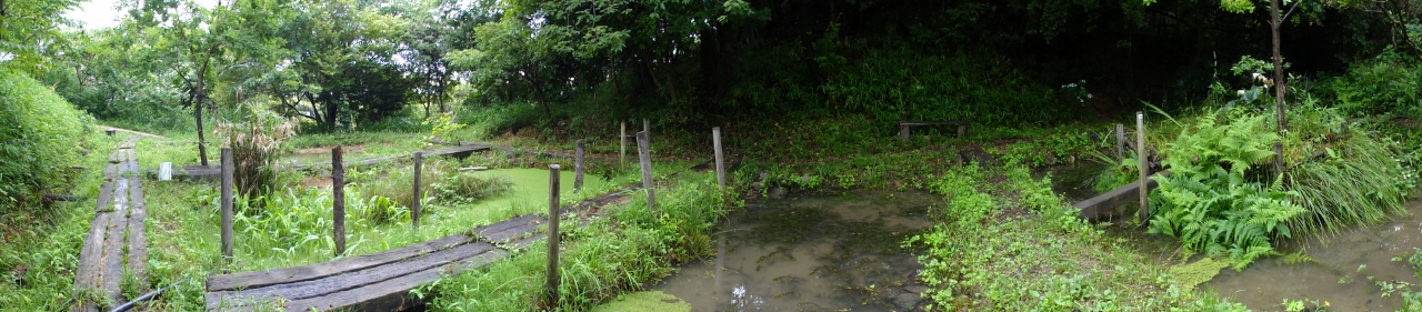 c0108460_2235945.jpg