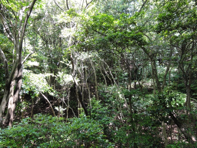 c0108460_2255916.jpg