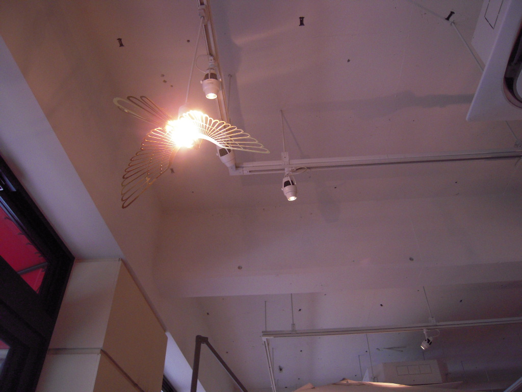 d0083265_10245078.jpg