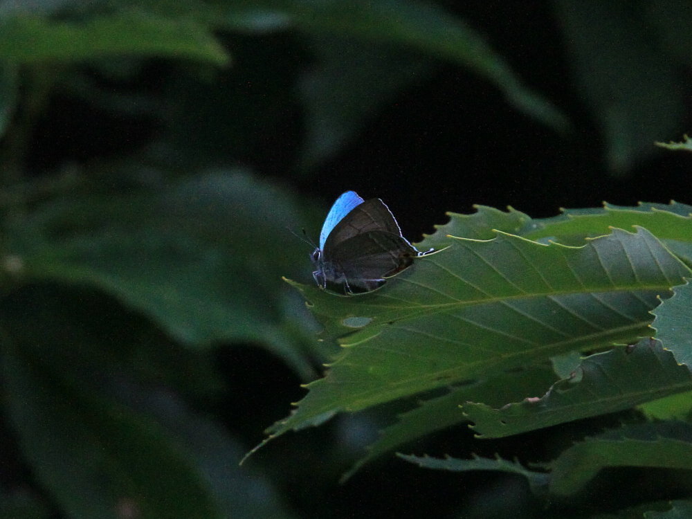a0146869_5121317.jpg