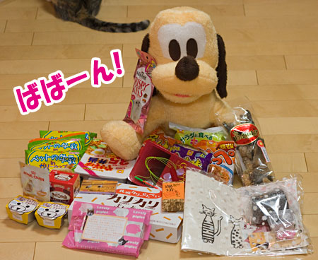 おまめさん With盆暮れ正月 梅蔵猫日記