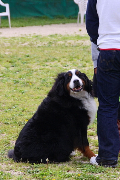 c0149178_156960.jpg