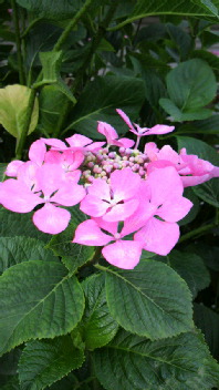 b0134285_0353455.jpg