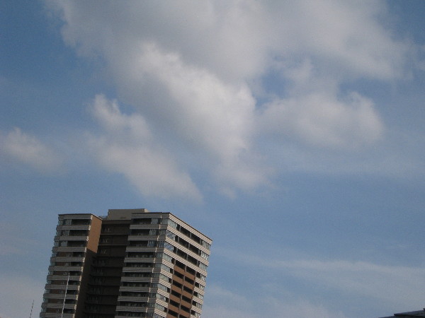c0132387_1881271.jpg