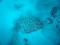 f0079996_17524655.jpg