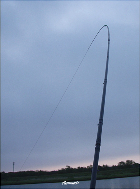 e0035597_20533032.jpg