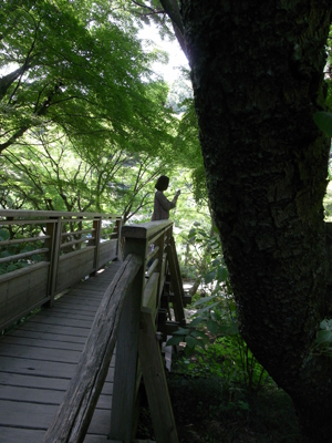 鎌倉02・明月院_d0165298_349227.jpg