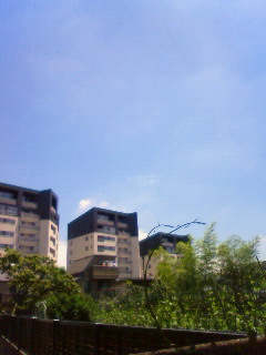 a0123904_11184952.jpg