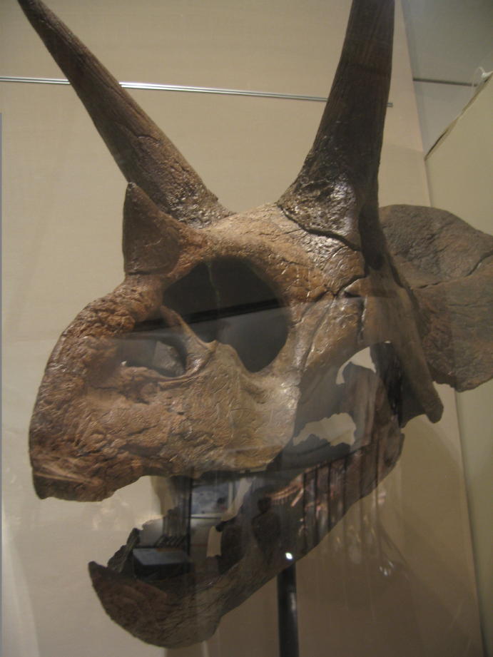 c0180009_12133093.jpg