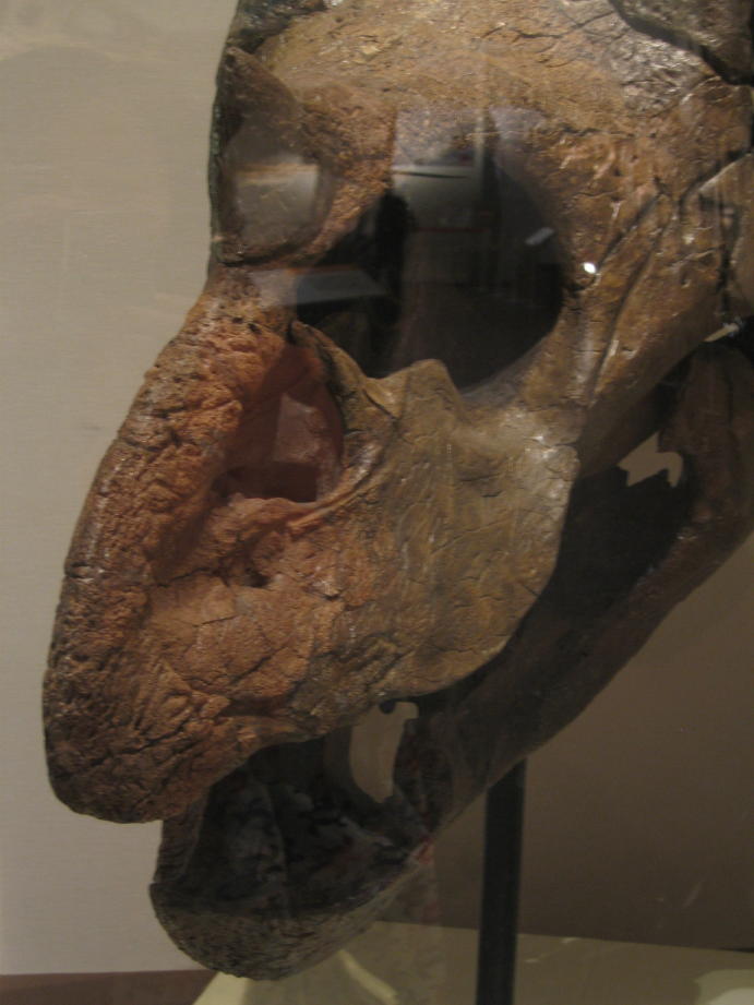 c0180009_1214266.jpg