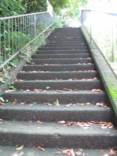 f0198909_19251477.jpg