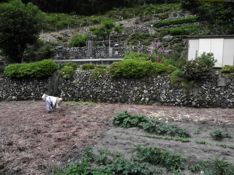 d0090322_20404888.jpg