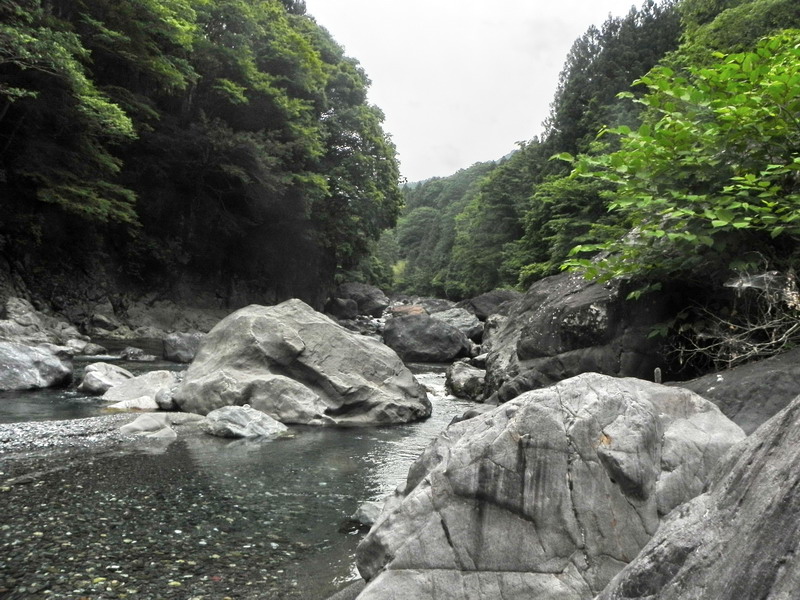 d0090322_2041293.jpg