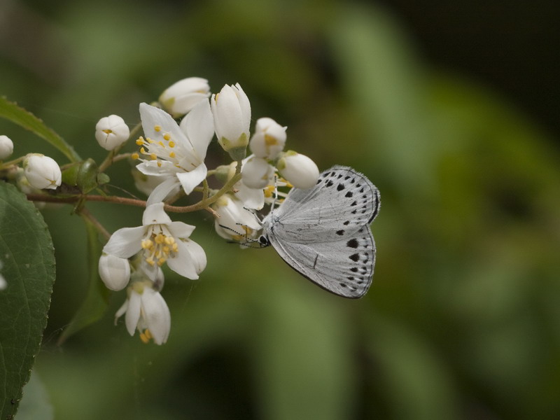 d0090322_2043184.jpg