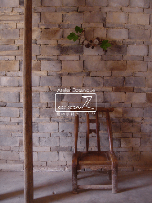 b0160123_100109.gif